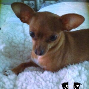 Meet your Posher, Carisha